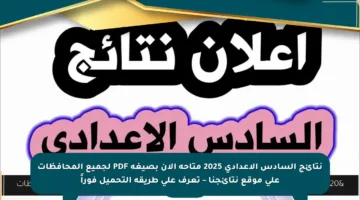 نتائج السادس الإعدادي 2025 متاحة الآن بصيغة PDF لجميع المحافظات على موقع نتائجنا – تعرف على طريقة التحميل فوراً